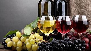 The biggest Wine Valley in Macedonia - the Land of Grapes 